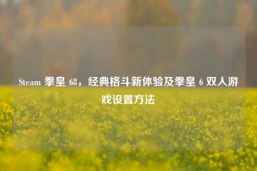 Steam 拳皇 68,经典格斗新体验及拳皇 6 双人游戏设置方法