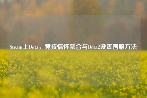 Steam上Dota,竞技情怀融合与Dota2设置国服方法
