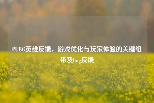 PUBG英雄反馈,游戏优化与玩家体验的关键纽带及bug反馈