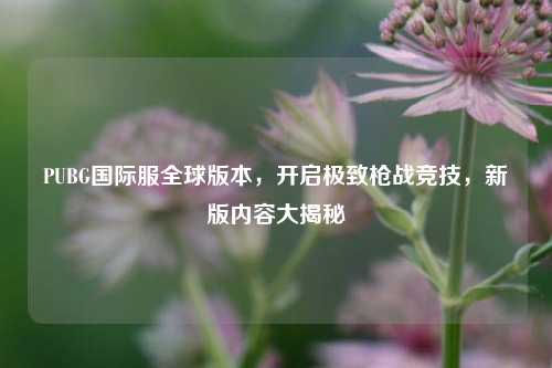 PUBG国际服全球版本,开启极致枪战竞技,新版内容大揭秘