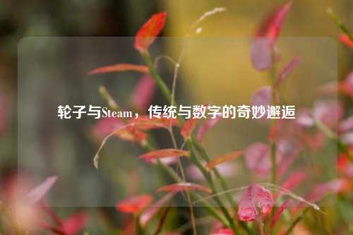 轮子与Steam,传统与数字的奇妙邂逅