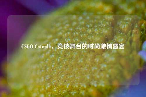 CSGO Catwalk,竞技舞台的时尚激情盛宴