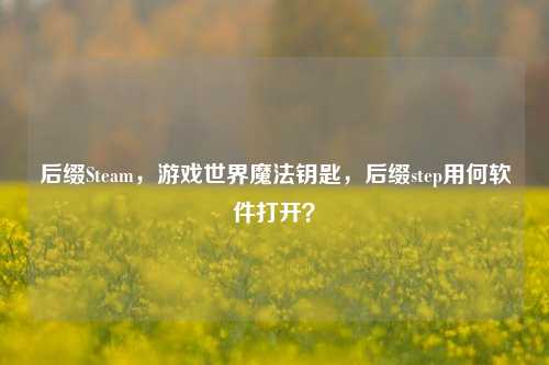 后缀Steam，游戏世界魔法钥匙，后缀step用何软件打开？