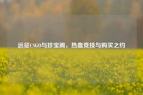 远征CSGO与珍宝阁,热血竞技与购买之约