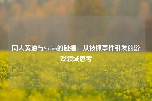 同人黄油与Steam的碰撞,从被抓事件引发的游戏领域思考