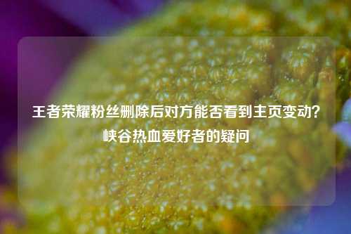 王者荣耀粉丝删除后对方能否看到主页变动?峡谷热血爱好者的疑问