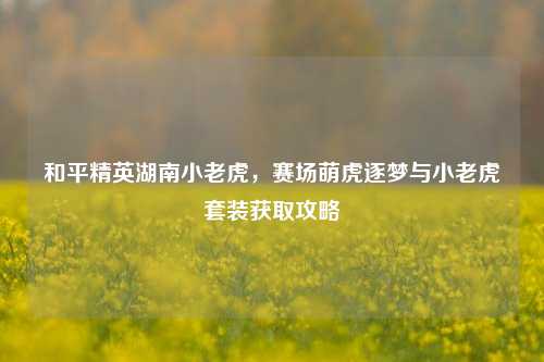 和平精英湖南小老虎,赛场萌虎逐梦与小老虎套装获取攻略