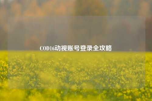 COD16动视账号登录全攻略