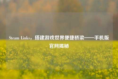 Steam Links,搭建游戏世界便捷桥梁——手机版官网揭秘