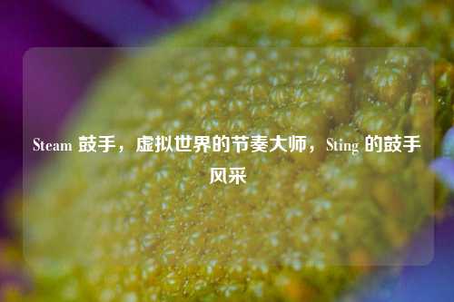 Steam 鼓手,虚拟世界的节奏大师,Sting 的鼓手风采