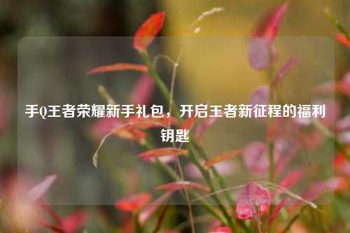 手Q王者荣耀新手礼包,开启王者新征程的福利钥匙