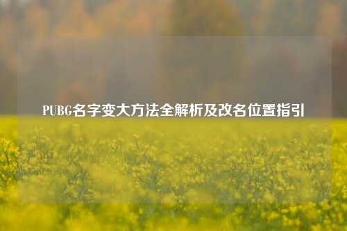 PUBG名字变大方法全解析及改名位置指引