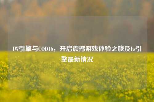 IW引擎与COD16,开启震撼游戏体验之旅及Iw引擎最新情况