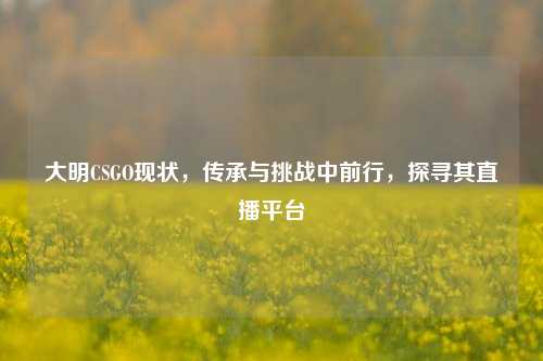 大明CSGO现状,传承与挑战中前行,探寻其直播平台