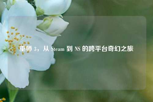 巫师 3,从 Steam 到 NS 的跨平台奇幻之旅