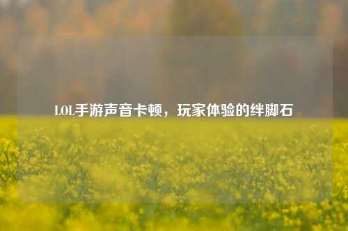 LOL手游声音卡顿，玩家体验的绊脚石