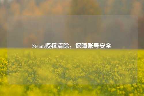 Steam授权清除,保障账号安全