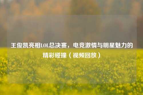 王俊凯亮相LOL总决赛,电竞激情与明星魅力的精彩碰撞(视频回放)