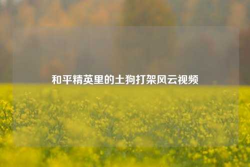 和平精英里的土狗打架风云视频
