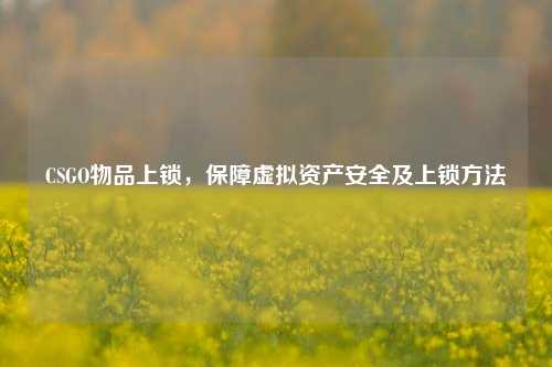 CSGO物品上锁,保障虚拟资产安全及上锁方法