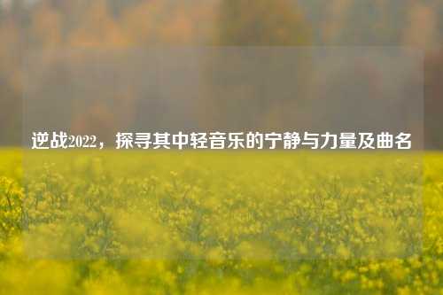 逆战2022,探寻其中轻音乐的宁静与力量及曲名