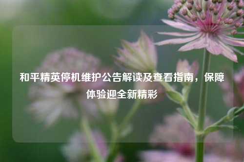 和平精英停机维护公告解读及查看指南,保障体验迎全新精彩