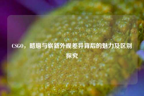 CSGO,略磨与崭新外观差异背后的魅力及区别探究