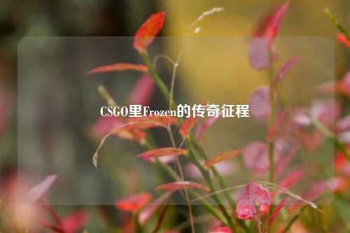 CSGO里Frozen的传奇征程