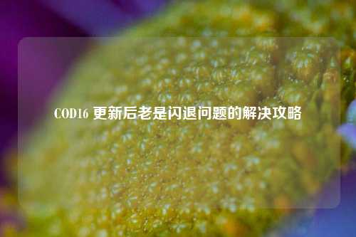 COD16 更新后老是闪退问题的解决攻略