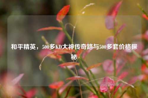 和平精英,500多KD大神传奇路与500多套价格探秘