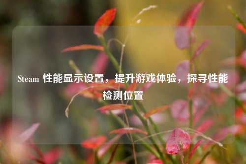 Steam 性能显示设置,提升游戏体验,探寻性能检测位置