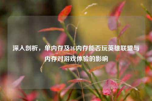 深入剖析,单内存及1G内存能否玩英雄联盟与内存对游戏体验的影响