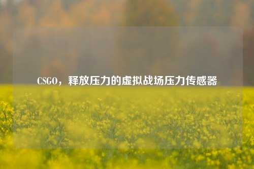 CSGO,释放压力的虚拟战场压力传感器