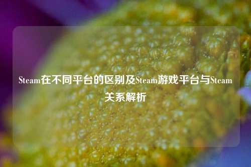 Steam在不同平台的区别及Steam游戏平台与Steam关系解析