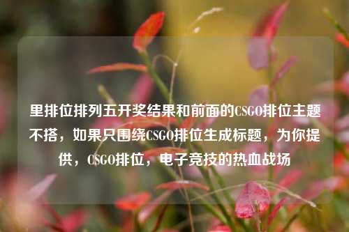 里排位排列五开奖结果和前面的CSGO排位主题不搭,如果只围绕CSGO排位生成标题,为你提供,CSGO排位,电子竞技的热血战场