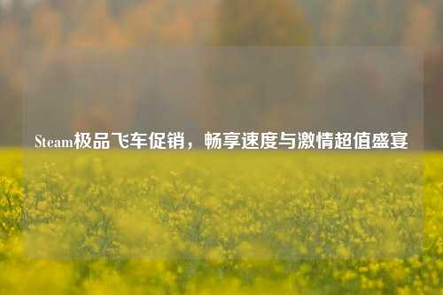 Steam极品飞车促销,畅享速度与激情超值盛宴