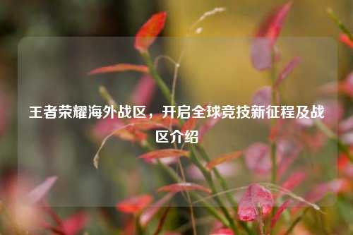 王者荣耀海外战区,开启全球竞技新征程及战区介绍