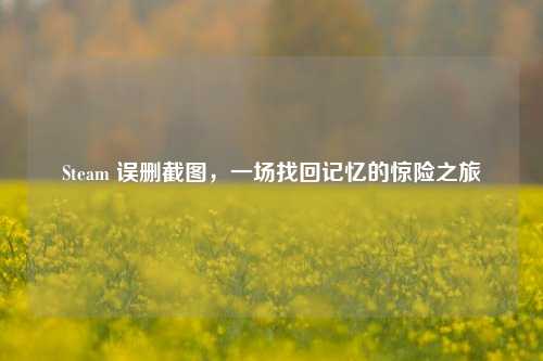 Steam 误删截图,一场找回记忆的惊险之旅