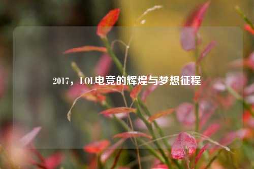 2017,LOL电竞的辉煌与梦想征程