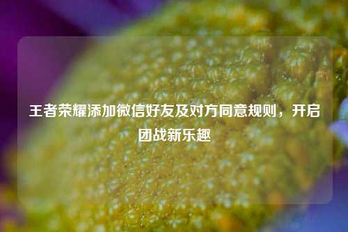 王者荣耀添加微信好友及对方同意规则,开启团战新乐趣
