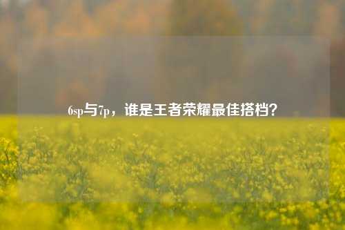 6sp与7p,谁是王者荣耀最佳搭档?