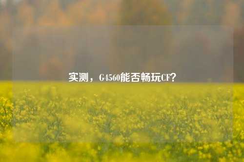 实测,G4560能否畅玩CF?