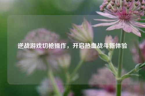 逆战游戏切枪操作,开启热血战斗新体验