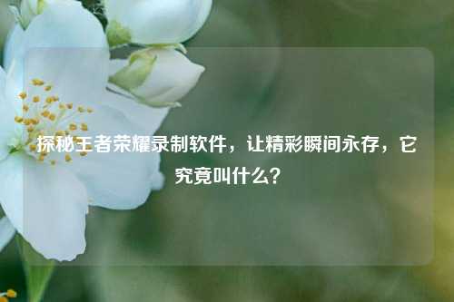 探秘王者荣耀录制软件,让精彩瞬间永存,它究竟叫什么?