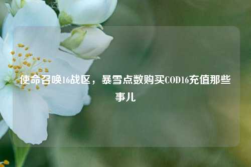 使命召唤16战区,暴雪点数购买COD16充值那些事儿