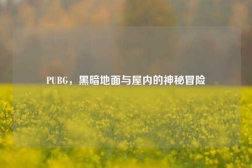 PUBG,黑暗地面与屋内的神秘冒险