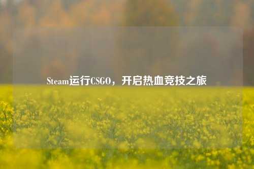 Steam运行CSGO,开启热血竞技之旅