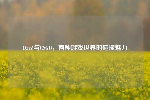 DayZ与CSGO,两种游戏世界的碰撞魅力