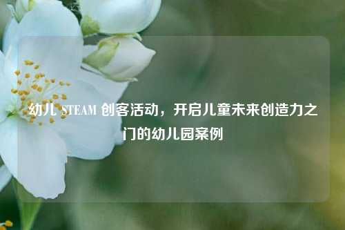 幼儿 STEAM 创客活动,开启儿童未来创造力之门的幼儿园案例