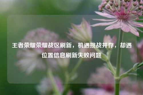 王者荣耀荣耀战区刷新,机遇挑战并存,却遇位置信息刷新失败问题